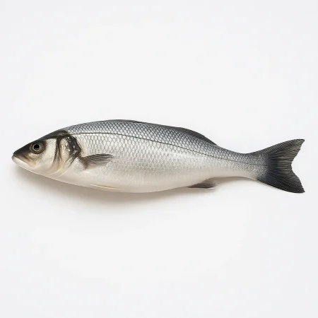 Branzino