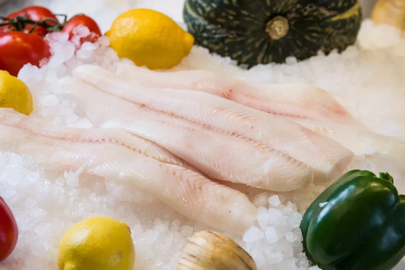 Turbot